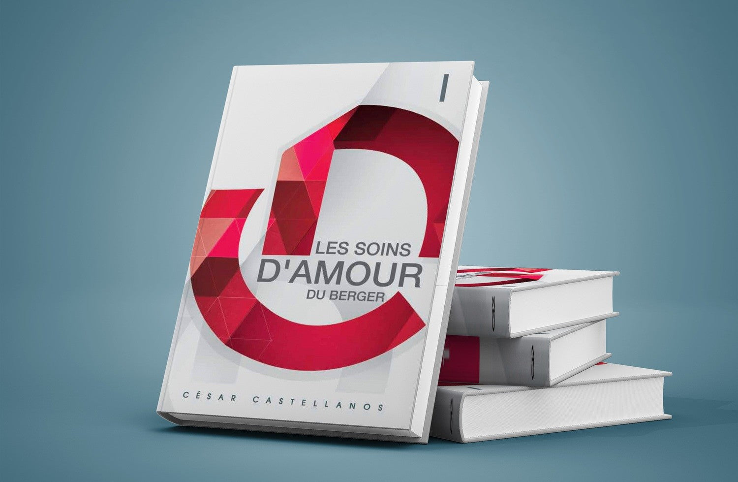 CAP DES 1 "Les soins D'AMOUR du berger"